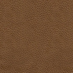 Saonara Sofa and Loveseat